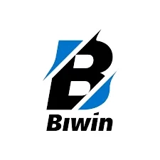 Biwin 116x